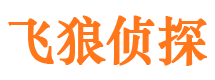 高淳市私人调查